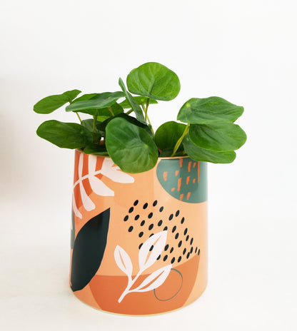 Esme Foliage Planter - Pink & Green
