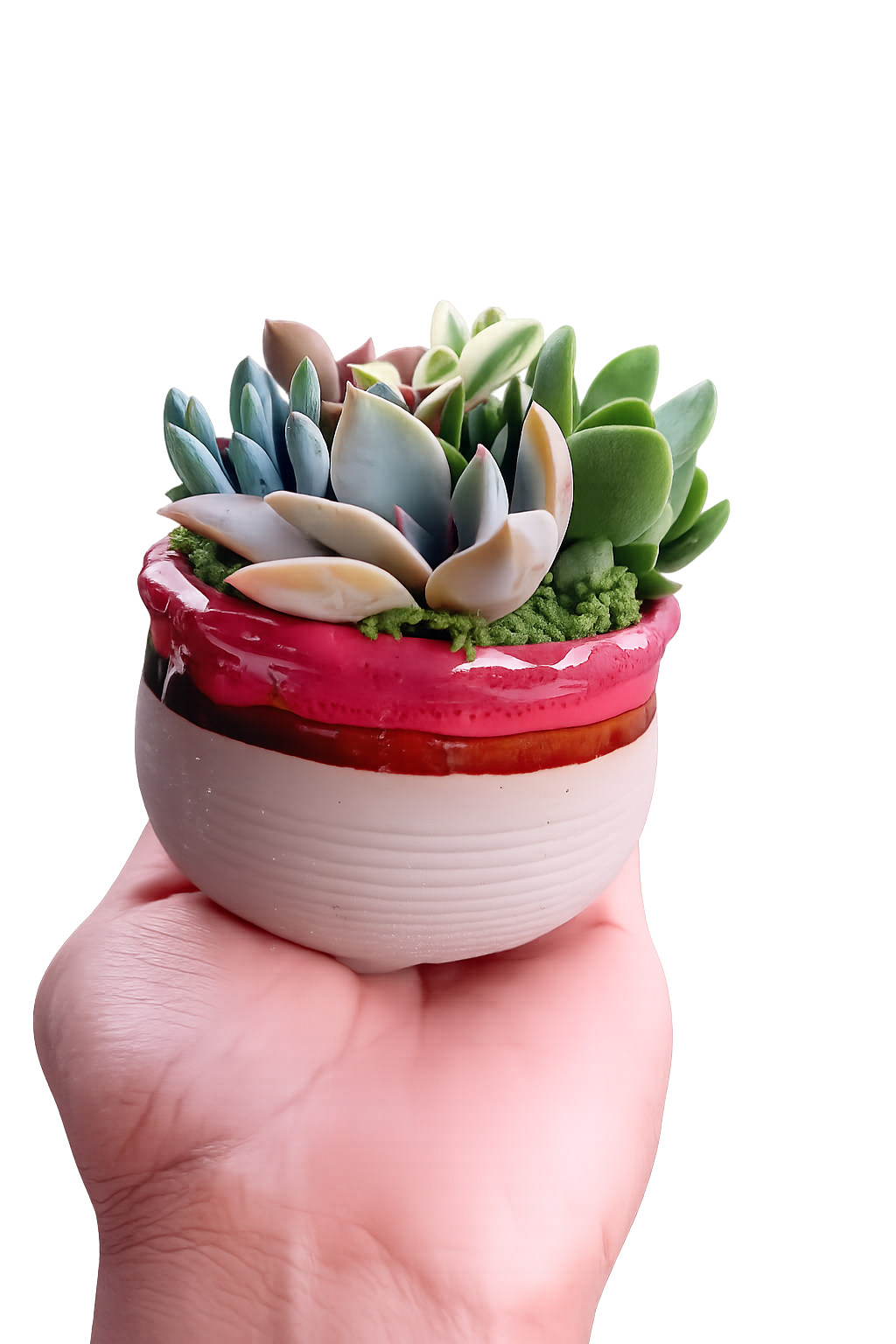 Glazed Ceramic Succulent Pot