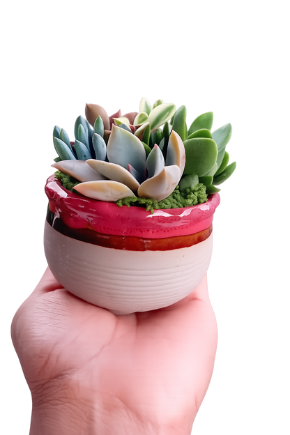 Glazed Ceramic Succulent Pot