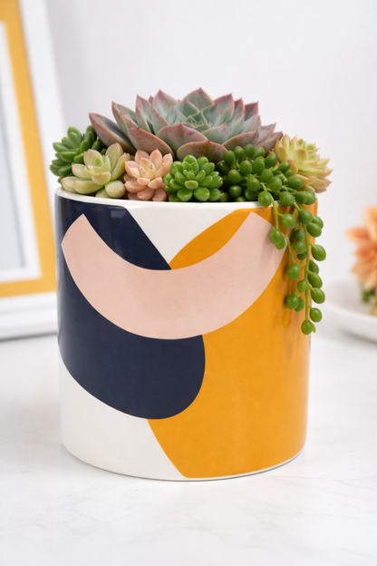 Elena Abstract Planter - Blue & Yellow