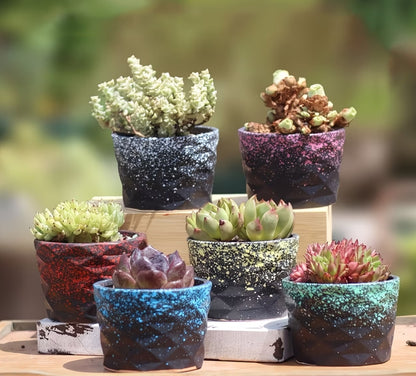 Luxury Textured Mini Ceramic Pots – Modern Speckled Collection