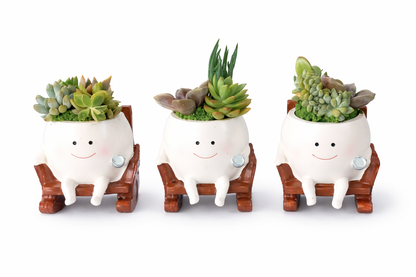 Rocking Chair Succulent pot