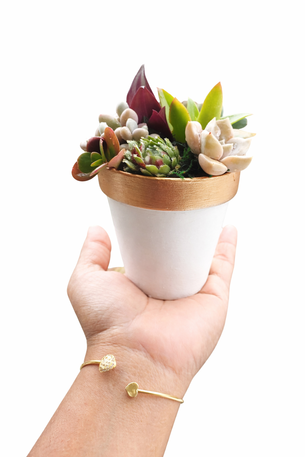 Succulents Clay Pots - Copper finish