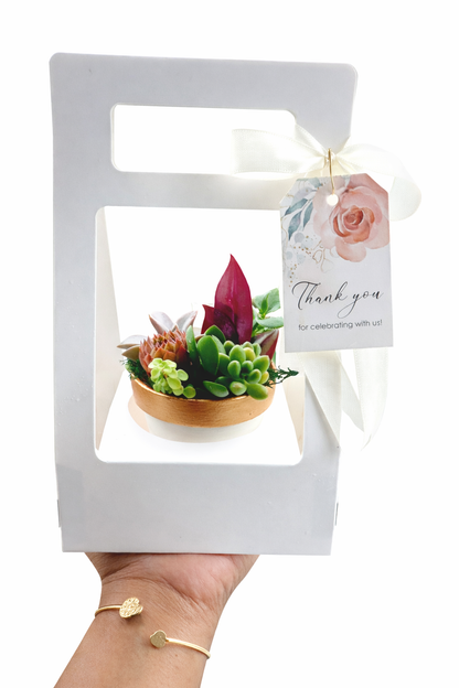 Succulents Clay Pots - Copper finish