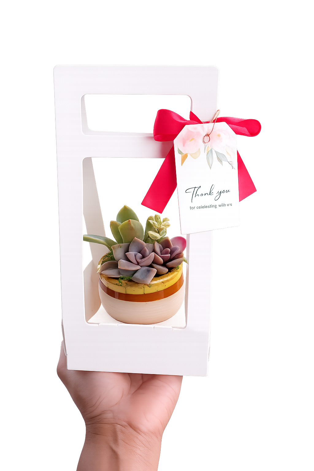 Glazed Ceramic Succulent Pot