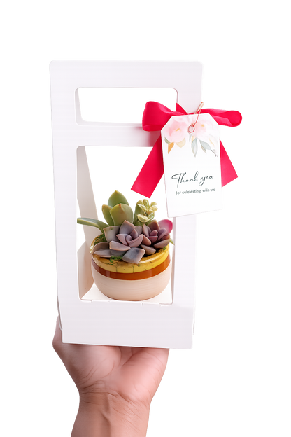 Glazed Ceramic Succulent Pot