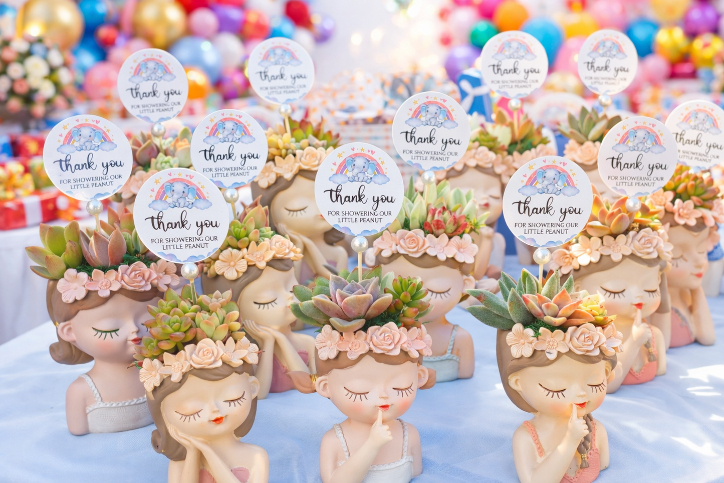 Luxury Fairy Princess Succulent Pots – Elegant Return Gifts