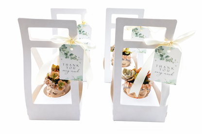 Luxury Fairy Princess Succulent Pots – Elegant Return Gifts