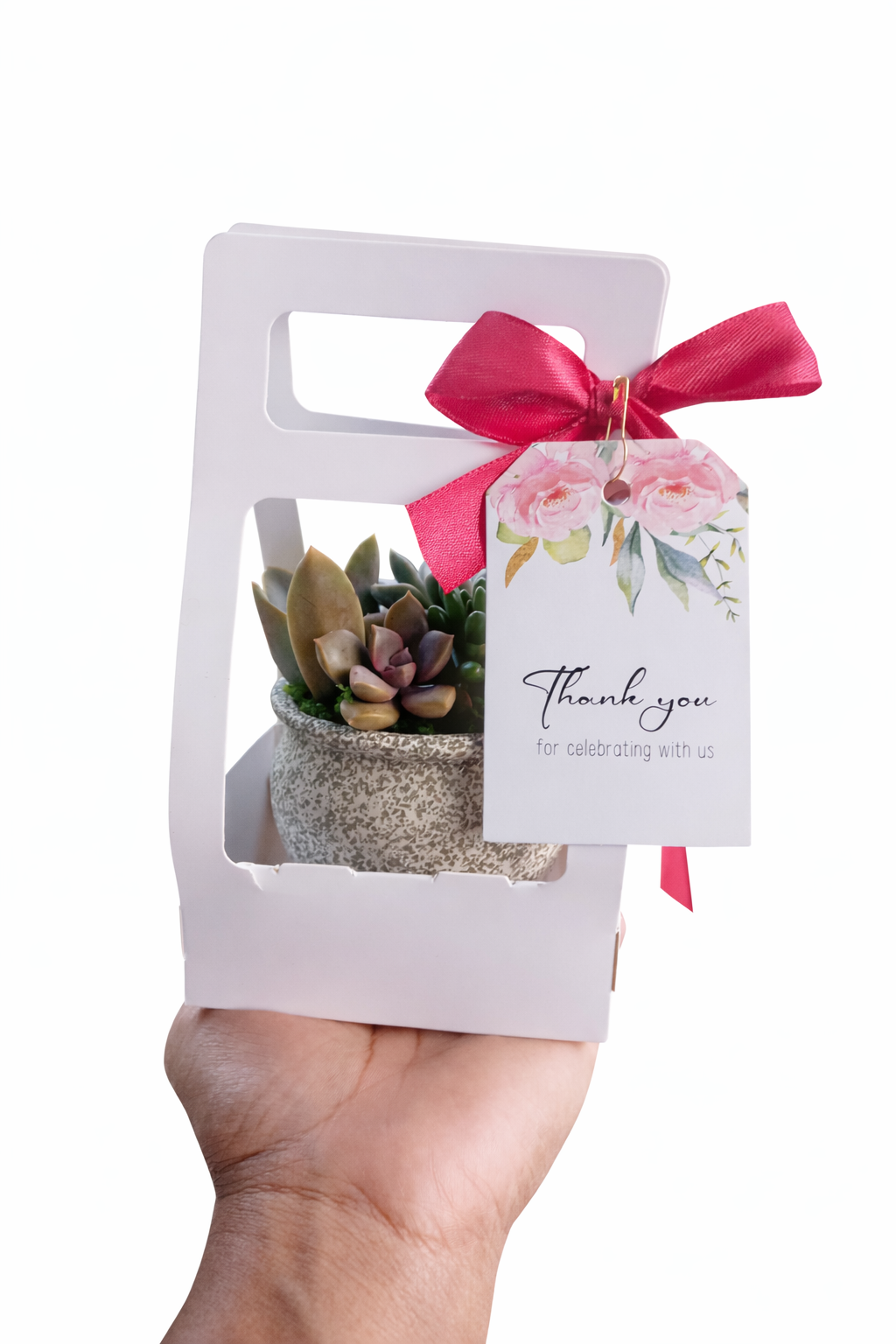 Pastel Glazed Ceramic Succulent Pots