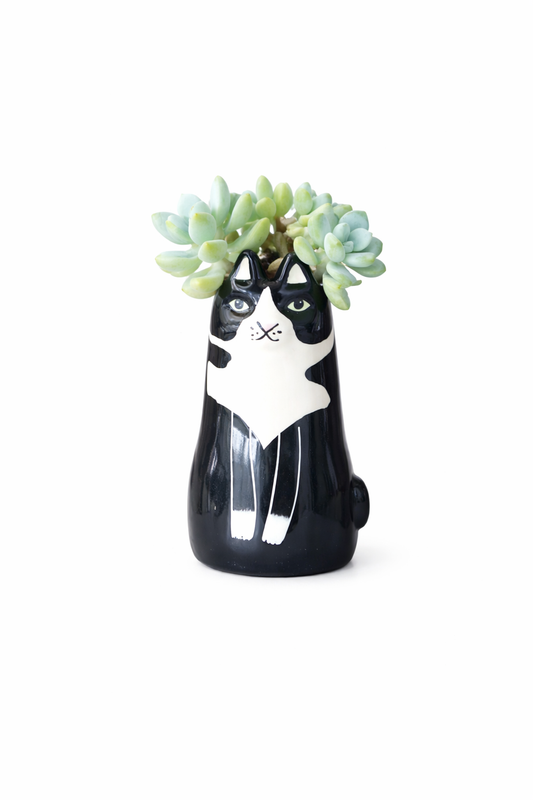 Sitting Black Cat Succulent pot - For Pet lovers❤️