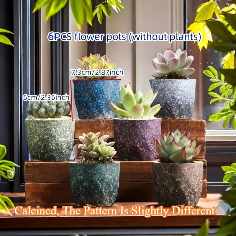 Set of 6 Mini Textured Pots