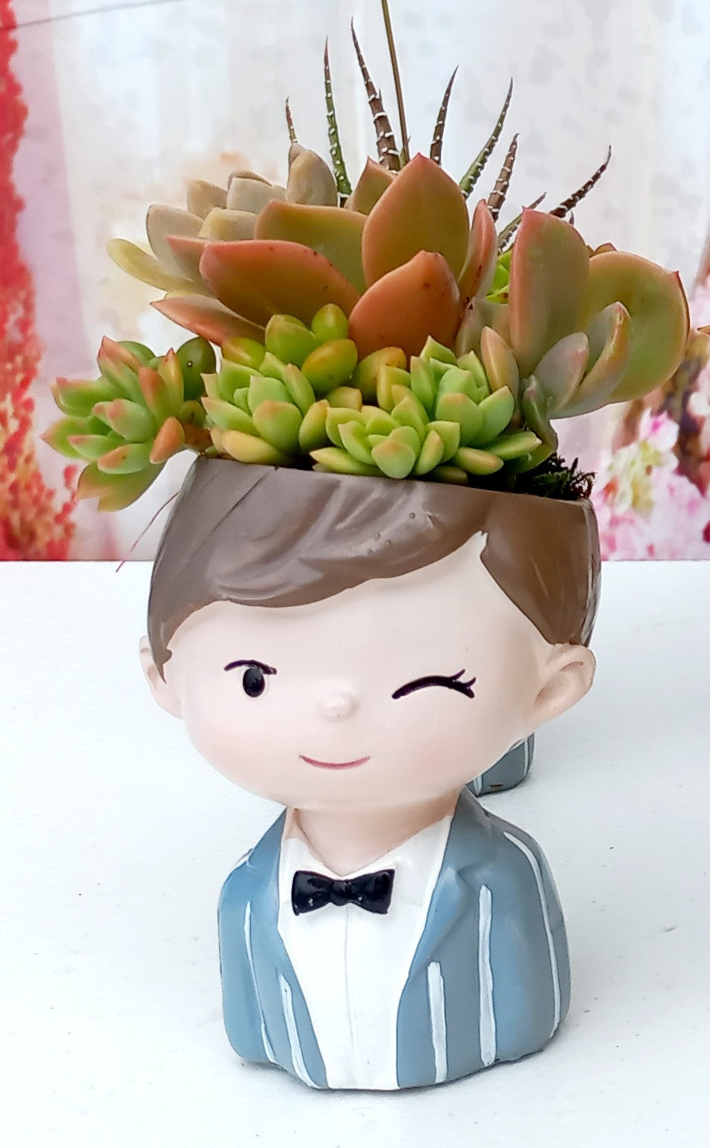 ''Suit Boy'' Succulent Arrangements - 11cmH