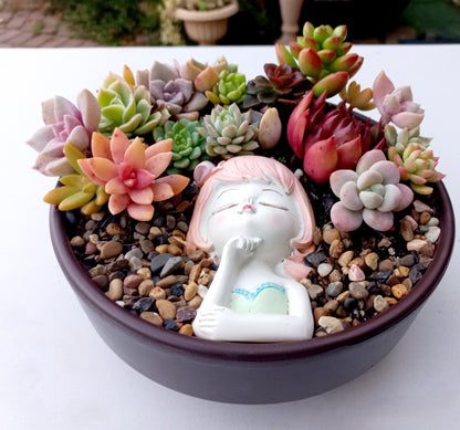 Succulent Display Pots