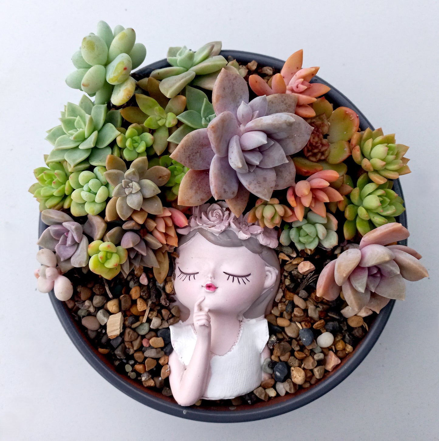 Succulent Display Pots