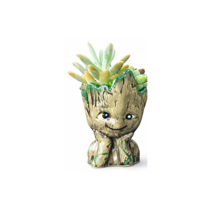 Groot Succulent Planter with Real Succulents – 14cm