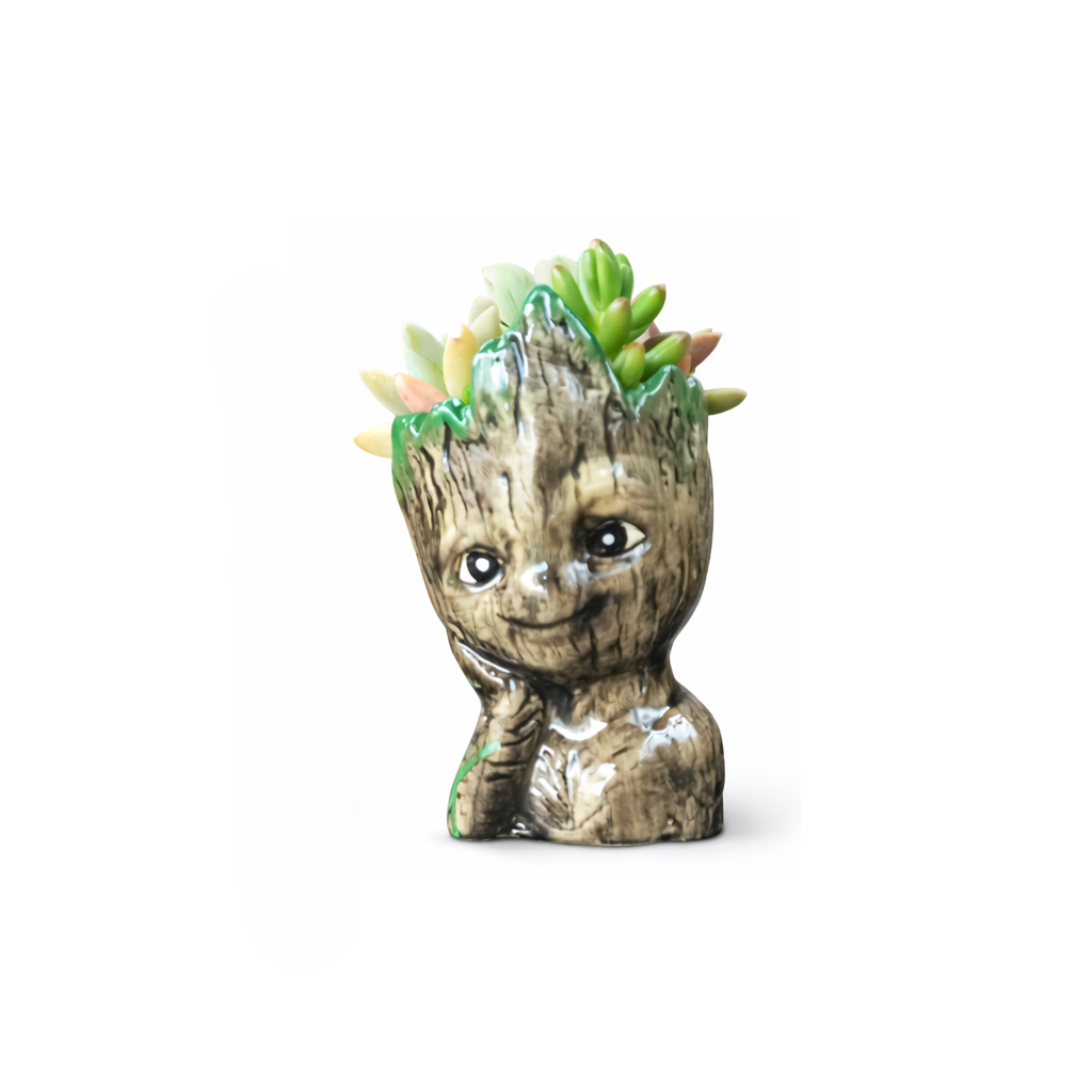 Groot Succulent Planter – 14cm