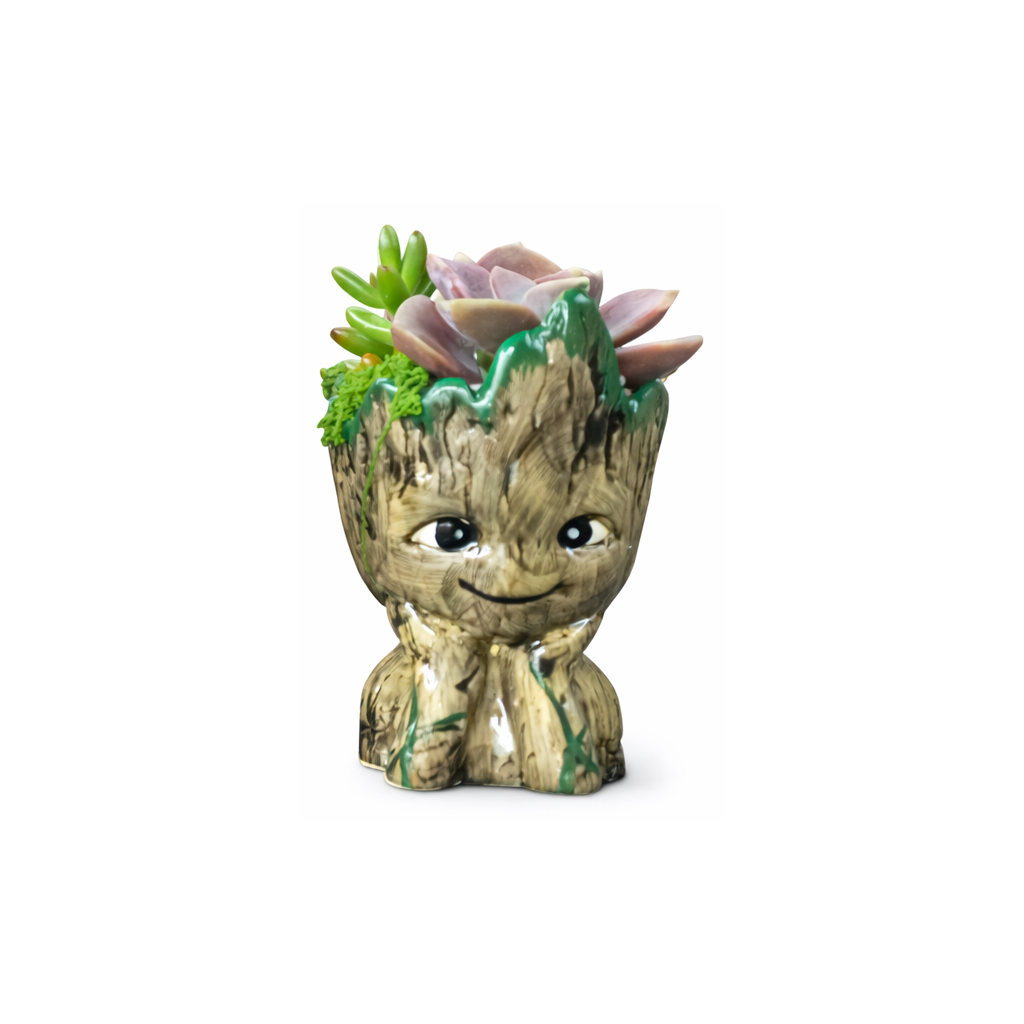 Groot Succulent Planter with Real Succulents – 14cm