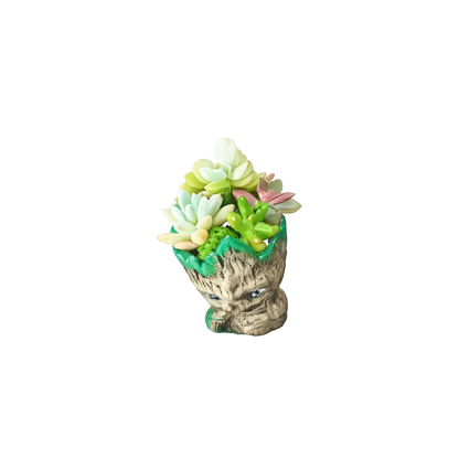 Groot Succulent Planter – 14cm