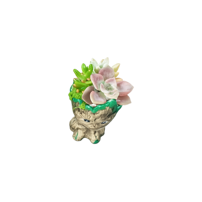Groot Succulent Planter with Real Succulents – 14cm