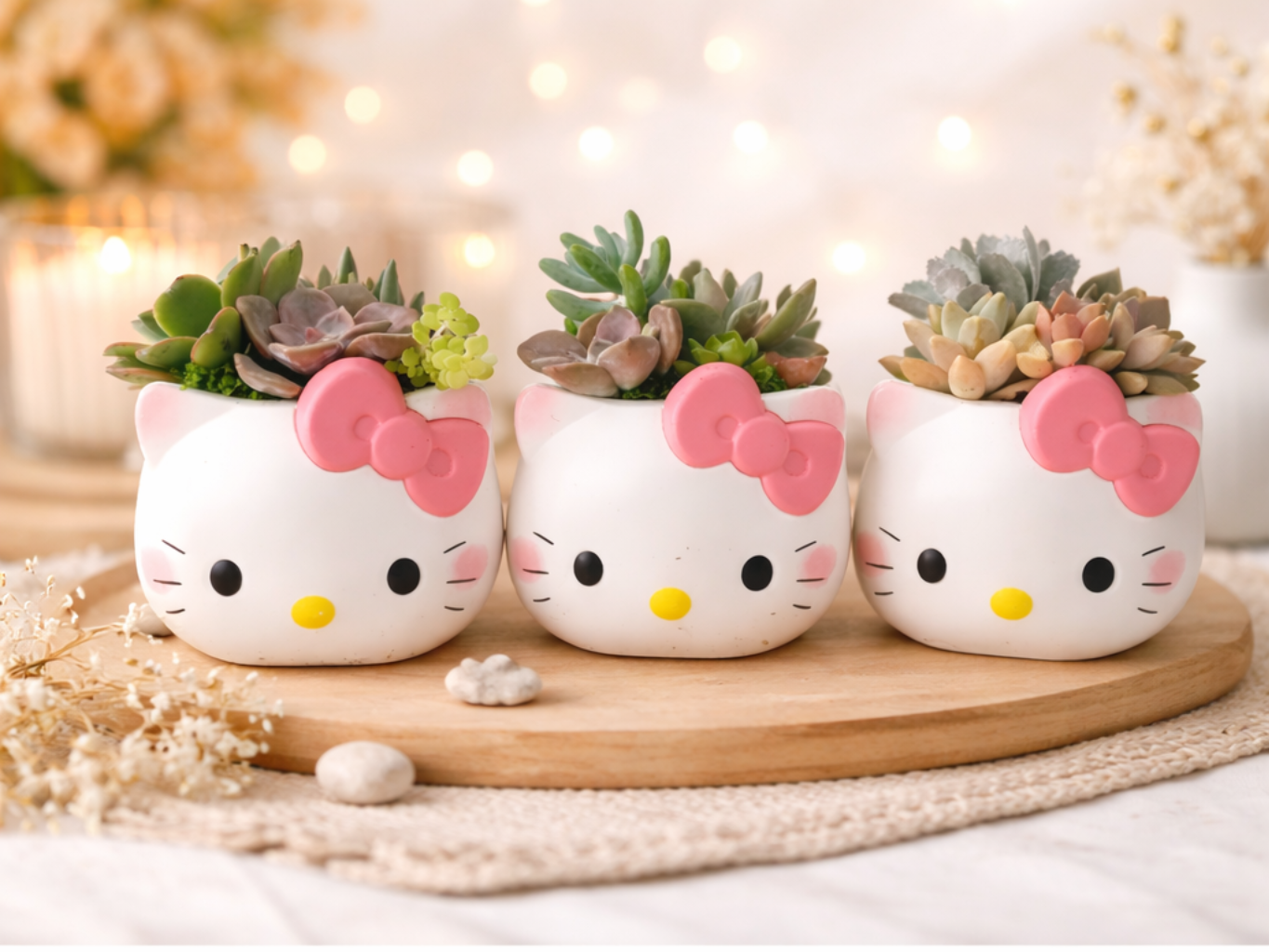 Cute Hello Kitty Succulent Pot