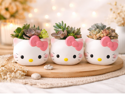 Cute Hello Kitty Succulent Pot