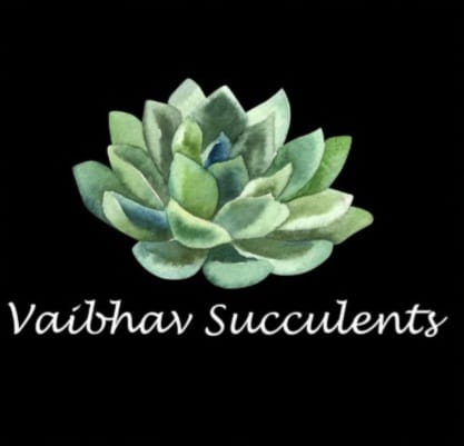 Vaibhav Succulents