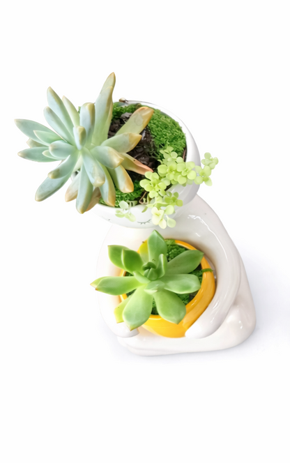 Person holding a Succulent Pot (20cm) - Mustard