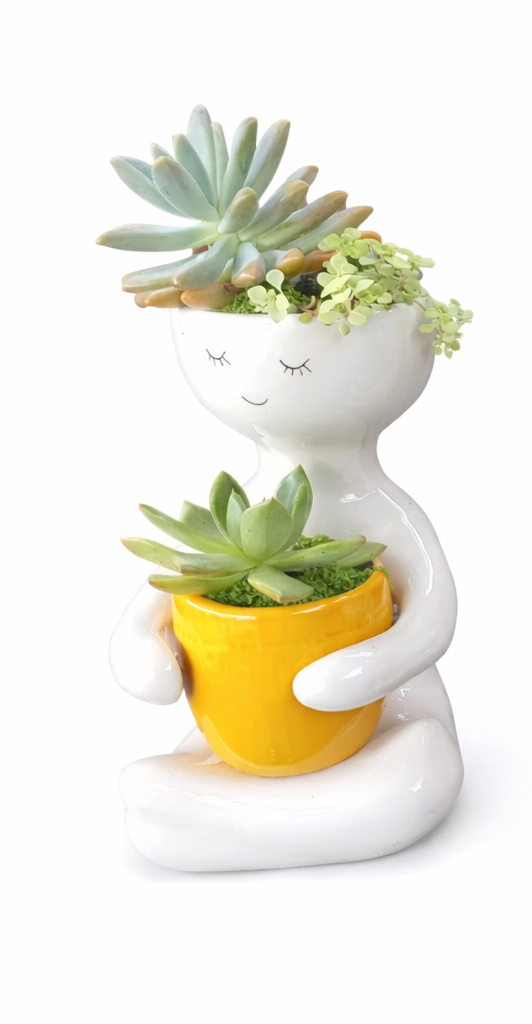 Person holding a Succulent Pot (20cm) - Mustard