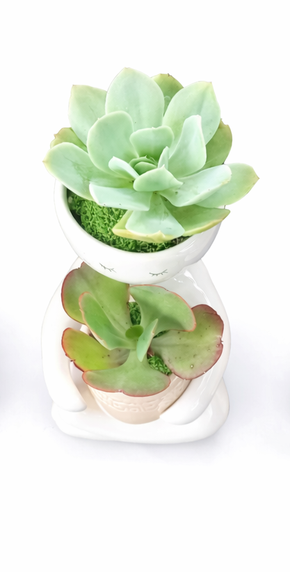 Person holding a Succulent Pot (20cm) - Beige