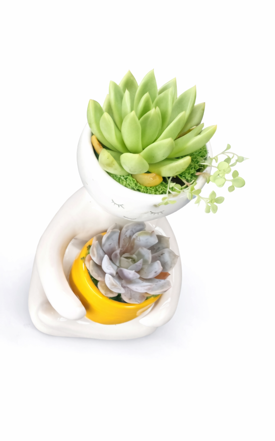 Person holding a Succulent Pot (20cm) - Mustard