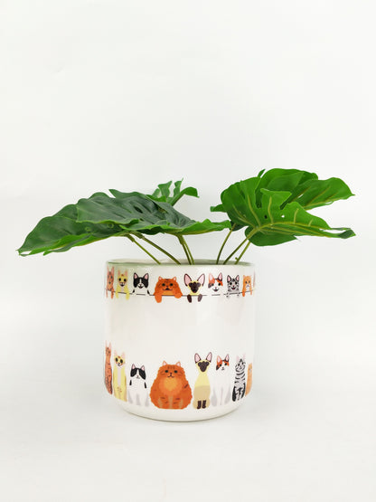 🐱 Quirky Cat Ceramic Planter – Colourful Cat Garden Pot