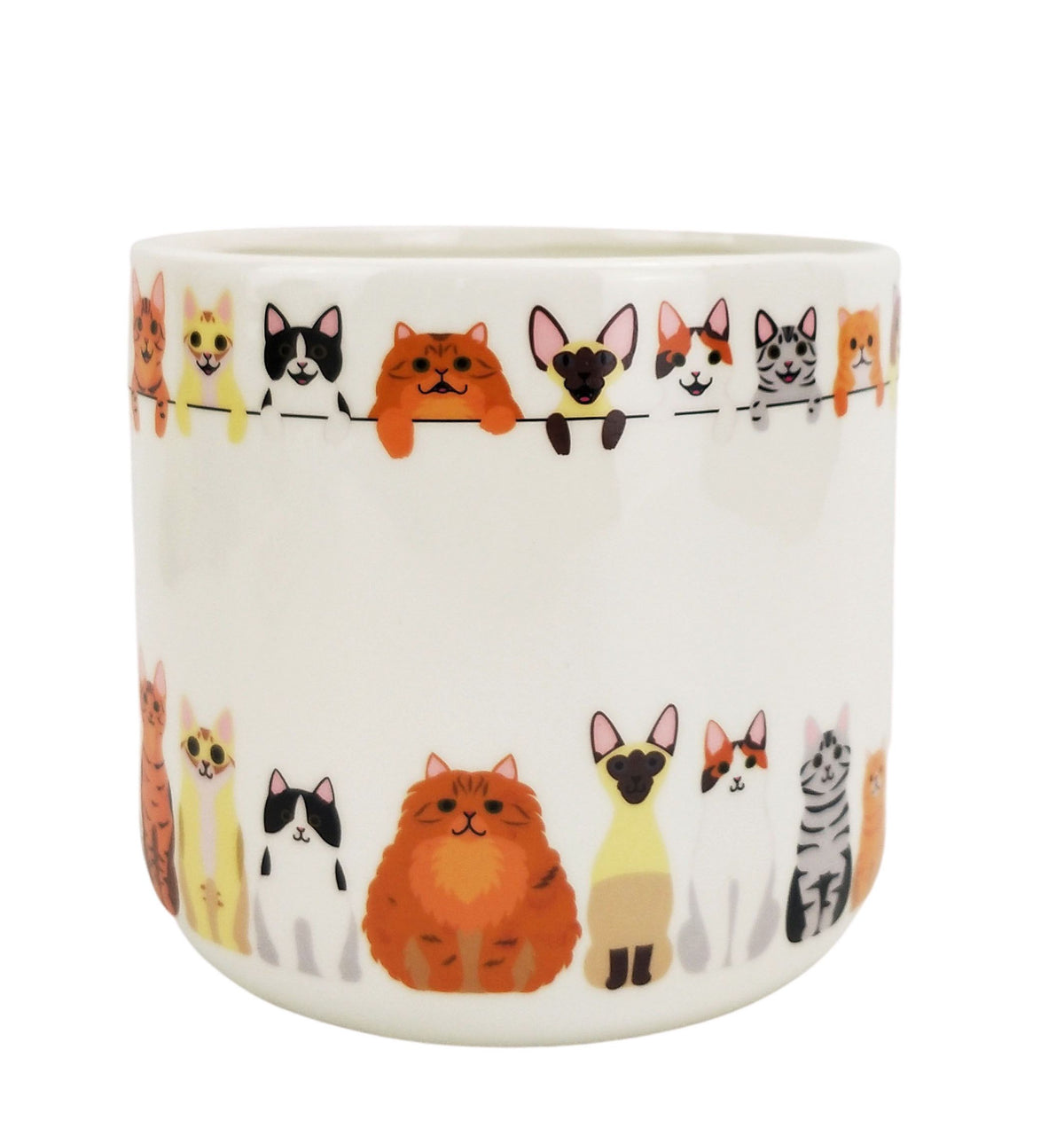 🐱 Quirky Cat Ceramic Planter – Colourful Cat Garden Pot