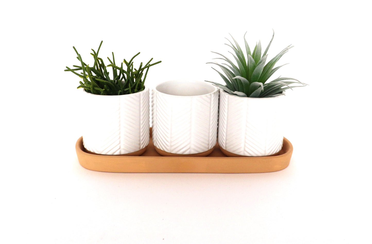 Zari Urban Planters