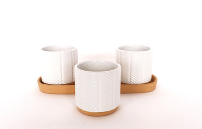 Zari Urban Planters