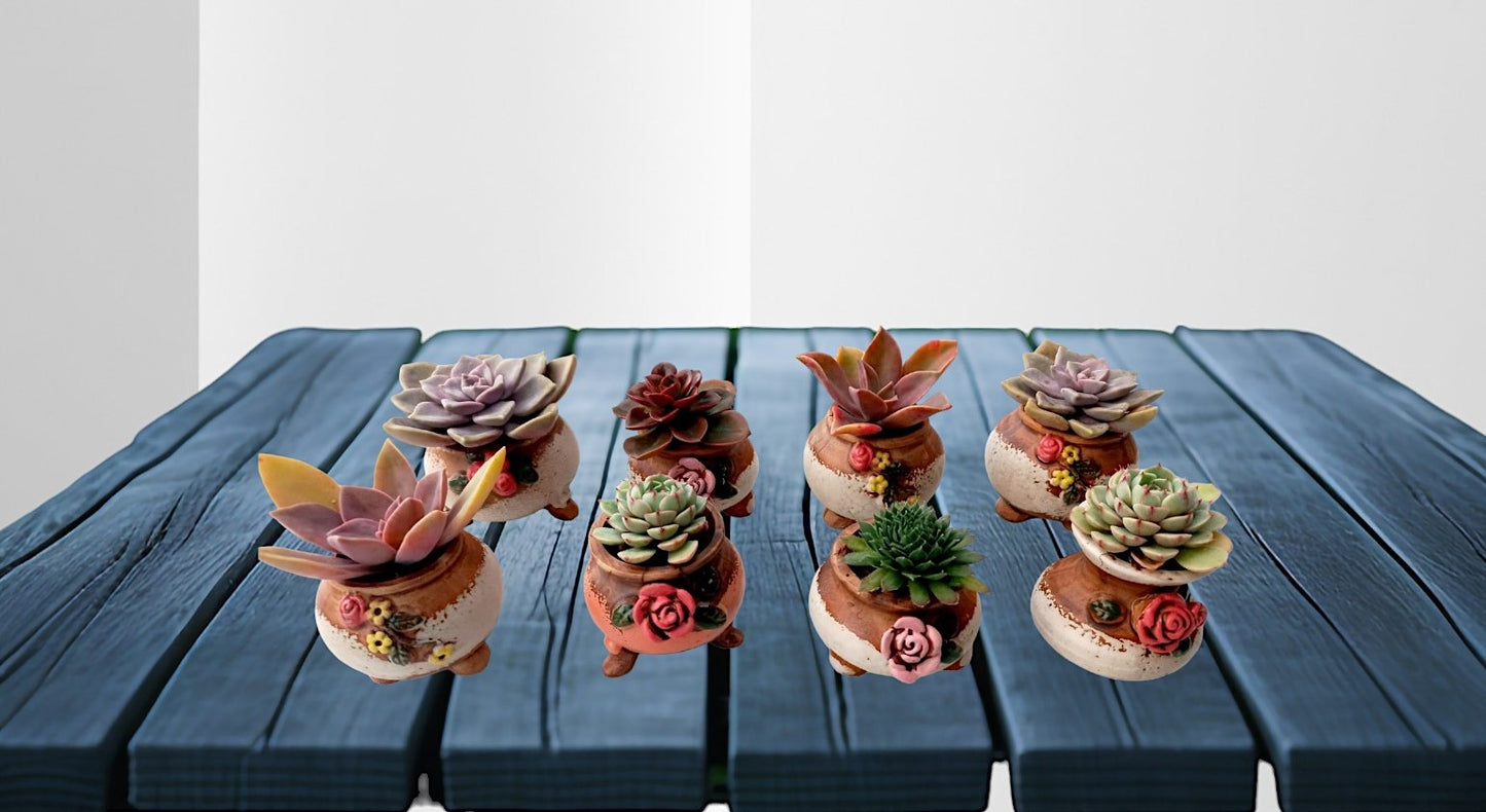 Hand painted floral patterned Succulent pots